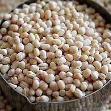 Urad dal 500GM (உளுந்து)
