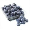 Fresh BlueBerry 1Box(120g)