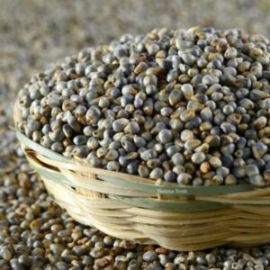 Kambu 500 gm கம்பு Pearl Millet